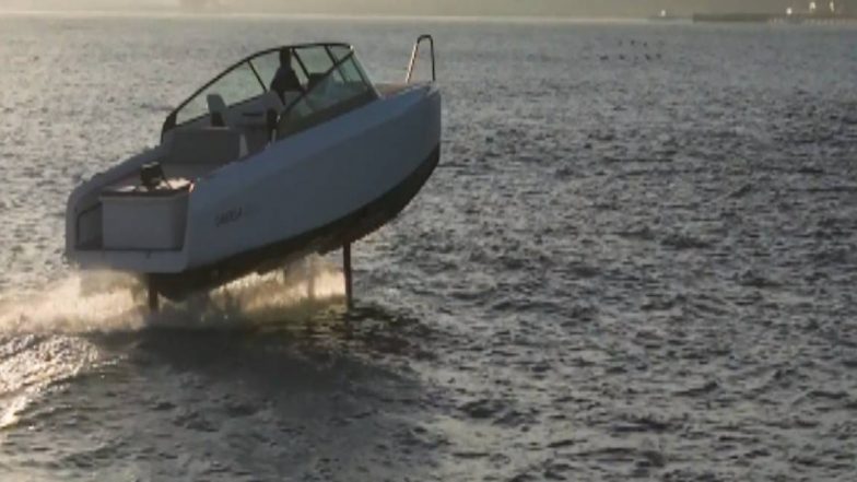 Flying Boat: ধরি মাছ, না ছুঁই পানি নীতিতে জলে ওড়ে এই 'ফ্লাইং বোট', দাম কত জানেন