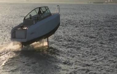 Flying Boat: ধরি মাছ, না ছুঁই পানি নীতিতে জলে ওড়ে এই 'ফ্লাইং বোট', দাম কত জানেন