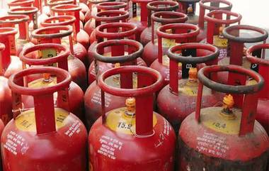 LPG Cylinder Price Cut: মোদী সরকারের গ্যাসের দাম কমানোকে INDIA-র 'দম' বলছেন মমতা