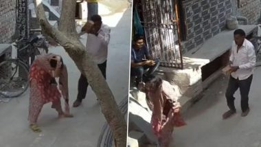 Delhi Horror Video: পুত্রবধূর মাথায় ইট দিয়ে আঘাত শ্বশুরের, দেখুন ভয়াবহ ভিডিয়ো