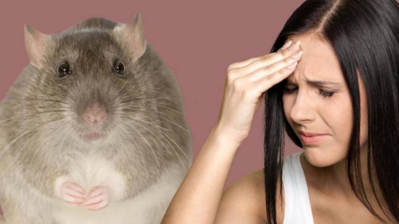 Lassa Fever: করোনার চেয়েও ভয়ঙ্কর হচ্ছে লাস্সা ফিভার, মৃত্যু ১০০ ছাড়িয়ে গেল