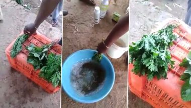 Viral Video: নুইয়ে পড়া শাক কেমিকেল সলিউশনে দিতেই তাজা, ভিডিয়ো দেখে আঁতকে উঠলেন বহু মানুষ