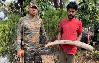 Elephant Tusk: জলপাইগুড়িতে হাতির দাঁত চোরাপাচারের সময় হাতেনাতে ধৃত ব্যক্তি