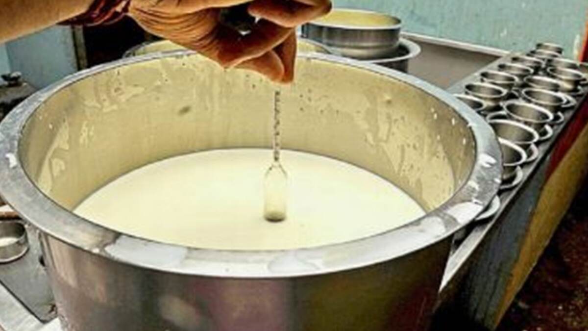 Mother Dairy Milk Price: লিটারে ২ টাকা করে বাড়ল মাদার ডেয়ারি দুধের দাম, পিছনে যে কারণ