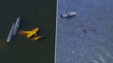 Planes Crashed Into Lake Hartridge: লেকের উপর মুখোমুখি ধাক্কা মেরে ভেঙে পড়ল দুটি বিমান, দুর্ঘটনাস্থলের ভিডিয়ো