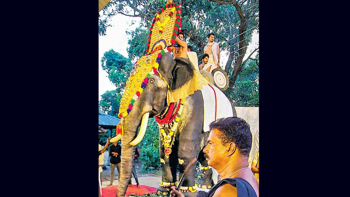 A Robotic Elephant: নিষ্ঠুরতামুক্ত’ পূজা–অর্চনায় এবার কেরালার শ্রী কৃষ্ণ মন্দিরে রোবট হাতি ইরিঞ্জাদাপল্লী রামন (দেখুন সেই ছবি)