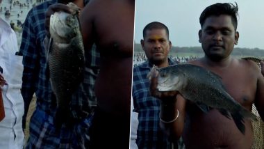 Traditional fishing festival In Madurai: মাদুরাইয়ের ঐতিহ্যবাহী মৎস্য উৎসবে মেতে উঠেছে মানুষ, দেখুন মাছ ধরার ভিডিয়ো