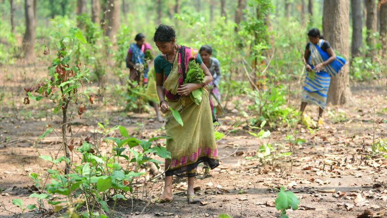 Madras High Court On Tribal Women: ঐতিহাসিক রায় মাদ্রাজ হাই কোর্টের, হিন্দু উত্তরাধিকার আইন মেনে সম্পত্তির সমান অধিকার পেলেন তামিলনাড়ুর উপজাতি মহিলারাও