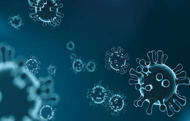 Adenovirus: কলকাতার পর বেঙ্গালুরু, অ্যাডিনো ভাইরাসের আতঙ্ক কর্ণাটকেও, শ্বাস প্রশ্বাসের কষ্ট ৩৭ জনের