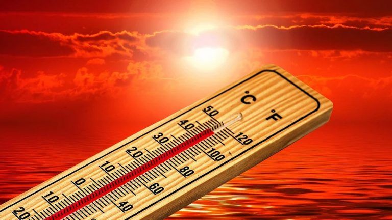 IMD Heatwave Warning: তাপপ্রবাহের সতর্কবার্তা দিল্লিতে, পশ্চিমী ঝঞ্ঝা প্রভাবিত করবে দিল্লি সহ উত্তর পশ্চিম ভারতের অন্যান্য অংশকেও (দেখুন টুইট)