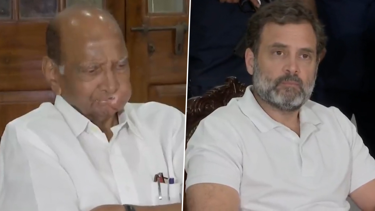 Sharad Pawar: ভোটে অনিয়ম নিয়ে রাহুলের চেয়েও বড় বোমা শরদ পাওয়ারের, নিশ্চিত জয়ের প্রস্তাব দিয়েছিলেন অজানা ব্যক্তিরা!