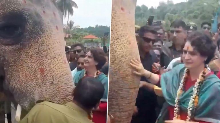 Priyanka Gandhi Fed Elephant: কর্নাটকের মন্দিরে হাতিকে খাবার খাওয়াচ্ছেন প্রিয়াঙ্কা গান্ধী, ঘটনাস্থলের ভিডিয়ো