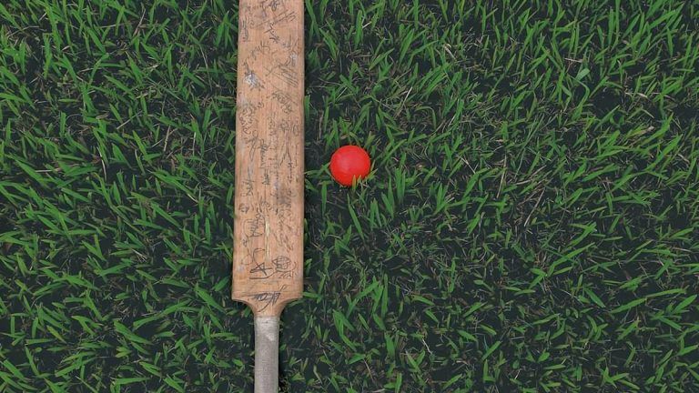 Women Playing Cricket In Hills: হিমাচলের পাহাড়ে জমিয়ে ক্রিকেট খেলছে মেয়েরা, দেখুন ভিডিয়ো