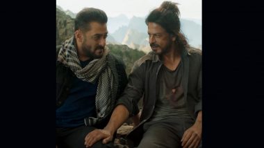 Salman Khan on SRK: স্ক্রিনে শাহরুখের সঙ্গে সলমনের রসায়ন একঘর, কিন্তু পর্দার বাইরে বাস্তবের চিত্রটা কেমন? জানালেন ভাইজান