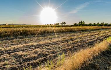 Heatwave Survey In India: ভারতের ৯০% এলাকাই তীব্র তাপপ্রবাহে 'বিপজ্জনক অঞ্চল', গরমের দাবদাহে নতুন সমীক্ষা