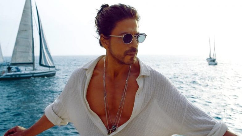 Shah Rukh Khan Injured: নাকে চোট, শ্যুটিংয়ের সেটে গুরুতর জখম শাহরুখ খান