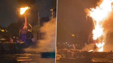 Disneyland Fire: ডিজনিল্যান্ডে ড্রাগন শো চলাকালীন প্রপ ড্রাগনে আচমকাই আগুন, দেখুন ভয়াবহ দৃশ্য