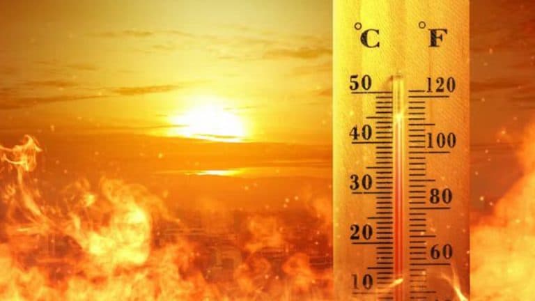 Yellow Warning For Heatwave: তীব্র তাপপ্রবাহে ওড়িশার আরও ১১ টি জেলায় হলুদ সতর্কতা জারি