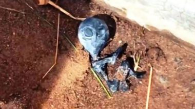 Alien Found Dead in Bolivia Video: বলিভিয়ায় মিলল এলিয়েনের মৃতদেহ? ভিডিয়ো ঘিরে শোরগোল