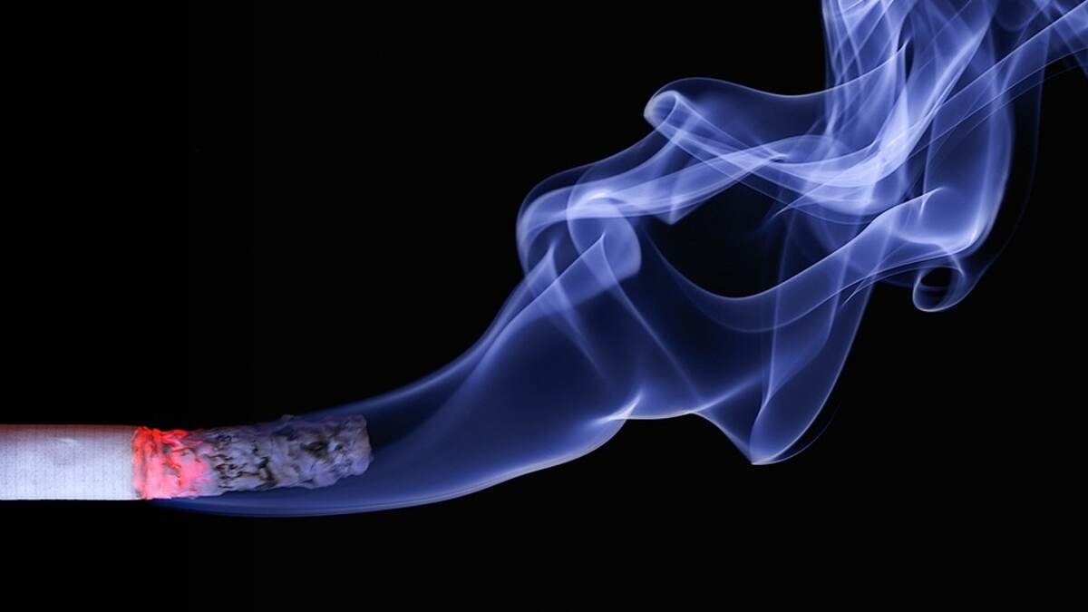 Smoking Ban: নিষিদ্ধ হচ্ছে প্রকাশ্যে ধূমপান , জরিমানায় দিতে হবে ১৩ হাজার টাকা