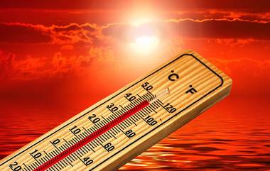 Heat Wave Warning: বৃষ্টির সম্ভাবনা নেই! আগামী ৫ মে পর্যন্ত বঙ্গের বিভিন্ন জেলায় তাপপ্রবাহের চূড়ান্ত সতর্কতা জারি