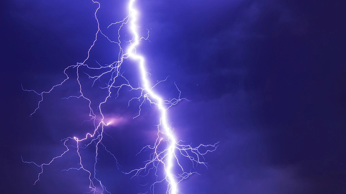 Tamil Nadu: তামিলনাড়ুতে বজ্রপাতের জেরে জখম অনেকে, আহতদের দেখতে হাসপাতালে মন্ত্রী