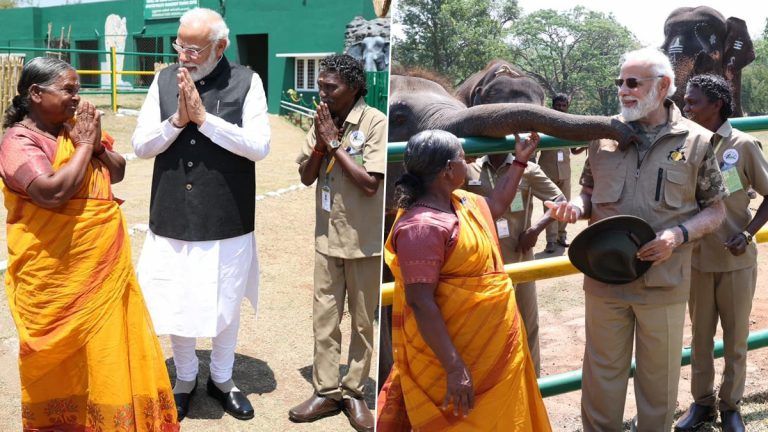 The Elephant Whisperers Couple Meet PM: থেপ্পাকাড়ু হাতি ক্যাম্পে অস্কার বিজয়ী 