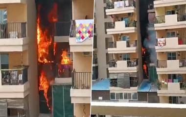 Noida Fire Video:  বুধবার সকালে আগুন লাগল গৌড় শহরের ১৪ নং  অ্যাভিনিউতে, দমকলের চেষ্টায় নিয়ন্ত্রণে আগুন