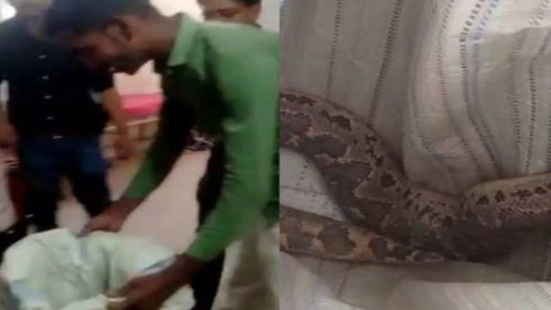 Snake Bites: স্ত্রী-কে কোন সাপ কামড়েছে দেখাতে হাসপাতালে সেই সাপকে ধরে নিয়ে এল স্বামী