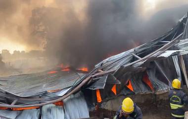 Tamil Nadu Fire: তামিলনাড়ুর কোয়েম্বাটুরে একটি আসবাবপত্র উত্পাদন সংস্থায় আগুন (দেখুন ভিডিও)