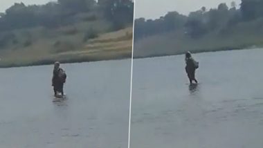 Viral Video: নর্মদা নদীর উপর দিয়ে হেঁটে যাচ্ছেন বৃদ্ধা! দেখুন ভাইরাল হওয়া সেই ভিডিয়ো