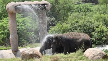 Hyderabad Zoo: অত্যধিক গরম থেকে বাঁচাতে চিড়িয়াখানায় বসল কুলার, জল ছেটানোর যন্ত্র
