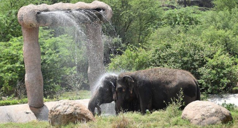 Hyderabad Zoo: অত্যধিক গরম থেকে বাঁচাতে চিড়িয়াখানায় বসল কুলার, জল ছেটানোর যন্ত্র