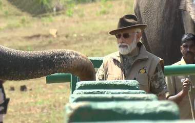 PM Modi Feeding Elephant Video: থেপ্পাকাদু হাতি প্রশিক্ষণ শিবিরে একটি হাতিকে  নিজে হাতে খাওয়ালেন প্রধানমন্ত্রী নরেন্দ্র মোদি (দেখুন ভিডিও