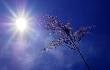 Heat Wave Warning: আরও বাড়বে গরম, ৩ রাজ্যে সতর্কতা জারি করল হাওয়া অফিস