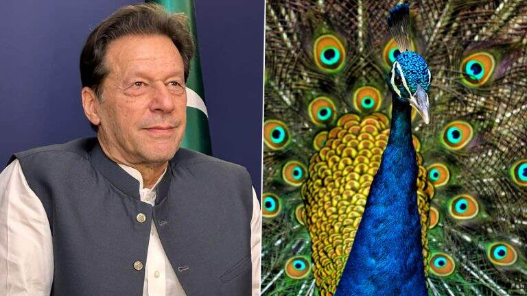 Imran Khan: ইমরান খানের গ্রেফতারির প্রতিবাদে লাহোর সেনা নিবাস থেকে ময়ূর চুরি