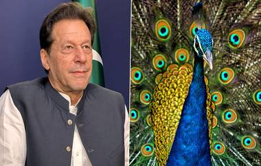 Imran Khan: ইমরান খানের গ্রেফতারির প্রতিবাদে লাহোর সেনা নিবাস থেকে ময়ূর চুরি