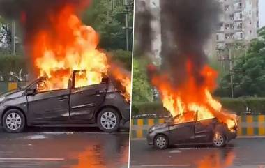 Uttar Pradesh Car Fire: মাঝ রাস্তার দাউ দাউ করে জ্বলছে গাড়ি, ঝাঁপ দিয়ে প্রাণে বাঁচলেন দম্পতি