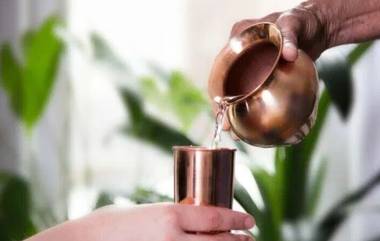 Copper Water Bottle: সাবধান, তামার পাত্রে জল রেখে খেতে এই ভুলগুলি করেন না তো?