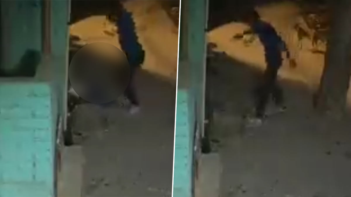 Delhi Girl Murder Video: প্রেমিকের হাতে নৃশংস পরিণতি তরুণীর, গা শিউরে ওঠা দৃশ্য দেখুন