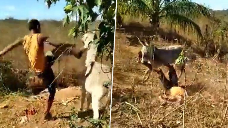 Viral Video: যেমন কর্ম তেমন ফল, গাদাকে এলোপাথাড়ি কিল-চড়-লাথি, যুবককে উচিৎ শিক্ষা দিল অবোলা