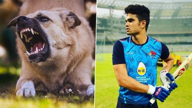 Dog Bites Arjun Tendulkar: লখনউ এর বিরুদ্ধে মাঠে নামার আগে কুকুরের কামড় খেলেন অর্জুন তেন্ডুলকার, জানালেন সতীর্থ  খেলোয়াড়দেরকেই (দেখুন ভিডিও)