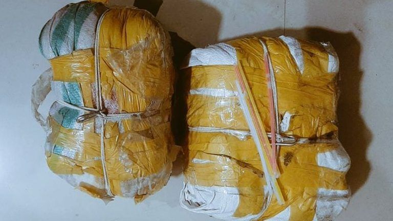 Narcotics Seized : ২০২৩ সালে ভারত নেপাল সীমান্ত থেকে ১৪৪ কেজি মাদক বাজেয়াপ্ত সশস্ত্র সীমা বলের