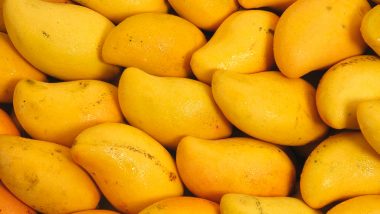 World's Most Costliest Mango: ২ লক্ষ টাকা কেজি আম! ওড়িশায় চাষ হচ্ছে বিশ্বের সবচেয়ে দামী আমের