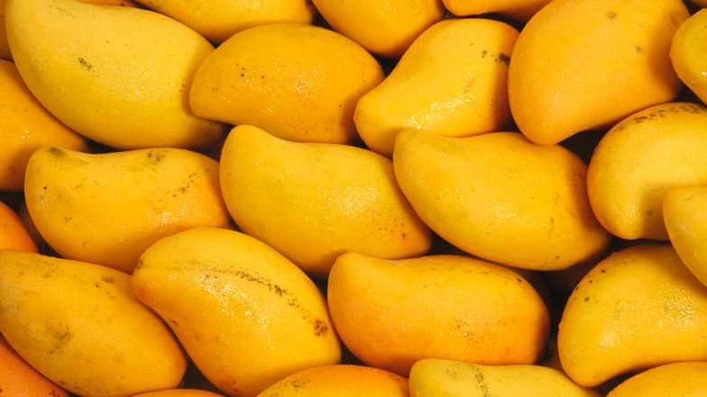 Mango For Health: আম স্বাস্থ্যের জন্য উপকারী, জেনে নিন একদিনে কতটা আম খেলে স্বাস্থ্যের কি কি উপকার  হবে...
