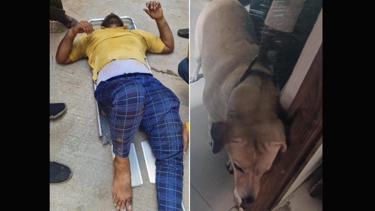 Hyderabad Dog Attack: কুকুরের কামড় থেকে বাঁচতে তিনতলা থেকে লাফ ডেলিভারি এজেন্টের, প্রাণ বাঁচলেও শরীরে একাধিক ফ্র্যাকচার