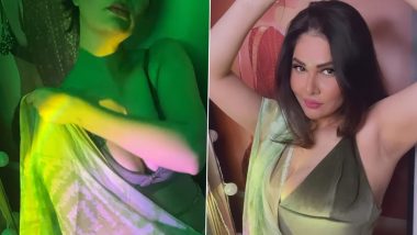Aabha Paul Hot Video: শাড়ি পরেও উষ্ণতায় ভরপুর আভা পাল, দেখুন ভিডিয়ো