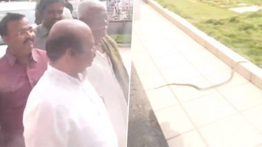 Snake Found In BJP Office: বিধানসভা নির্বাচনের ফল গণনার মাঝে বিজেপির দলীয় কার্যালয়ে ঢুকল সাপ, হুলুস্থূল, দেখুন