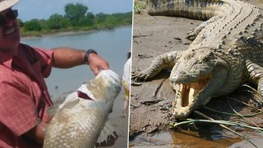 Body of Man Found Inside Crocodile:কেপ ইয়র্কের লেকফিল্ডের কেনেডি নদীতে কুমিরের মধ্যে মিলল নিখোঁজ মানুষের দেহাবশেষ