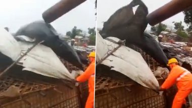 Cyclone Mocha: ঘূর্ণিঝড় মোকার দাপটে ধ্বংস বাংলাদেশের ১৩০০ আশ্রয়শিবির, দেখুন ভিডিয়ো